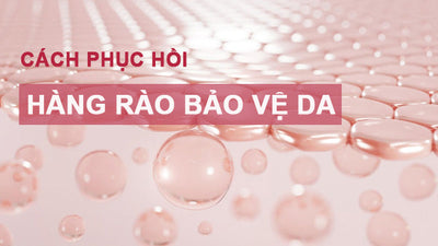 Hàng rào bảo vệ da là gì? Cách phục hồi hàng rào bảo vệ da bị tổn thương