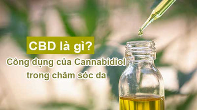 CBD là gì? Công dụng của Cannabidiol trong chăm sóc da