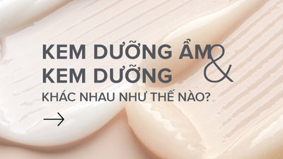 Tìm hiểu kem dưỡng ẩm và kem dưỡng khác nhau như thế nào?