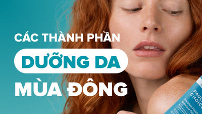 Bật mí những thành phần dưỡng da mùa đông bạn không nên bỏ lỡ