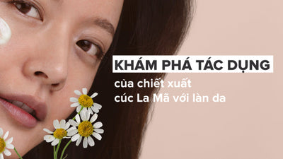 Khám phá tác dụng của chiết xuất cúc La Mã với da