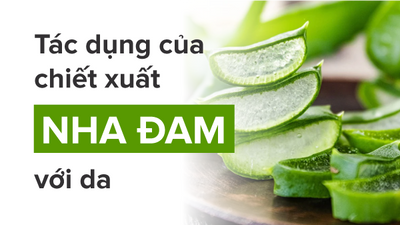 Tìm hiểu tác dụng và cách chăm sóc da bằng chiết xuất nha đam