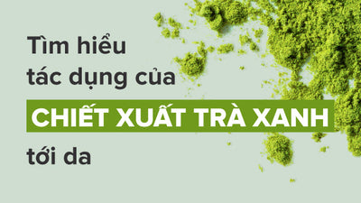 Cùng chuyên gia tìm hiểu tác dụng của chiết xuất trà xanh với da