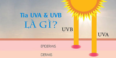 Tia UVA và UVB Là Gì? Tác Hại Của Tia UV Đối Với Da