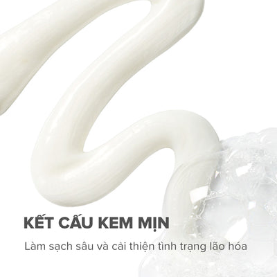 Sữa rửa mặt tạo bọt siêu mịn làm sạch và cân bằng độ ẩm cho da Resist Perfectly Balanced Foaming Cleanser 190ml