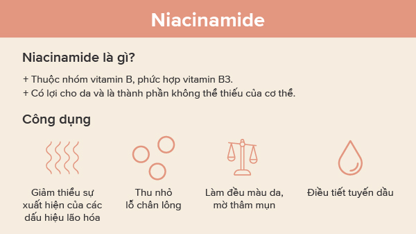 Thông tin về Niacinamide và công dụng của nó
