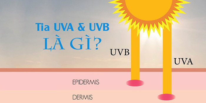 Tia UVA và UVB Là Gì? Tác Hại Của Tia UV Đối Với Da ảnh 1