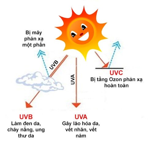 Tia UVA và UVB là các tia xuất hiện trong ánh nắng mặt trời, gây hại cho da ảnh 2