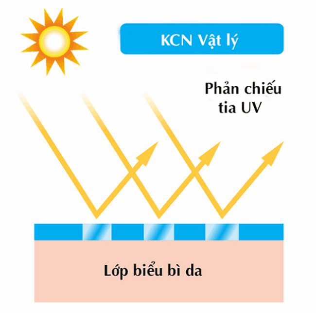 Cách phân biệt kem chống nắng vật lý và kem chống nắng hóa học – FUJI KASEI  VIỆT NAM