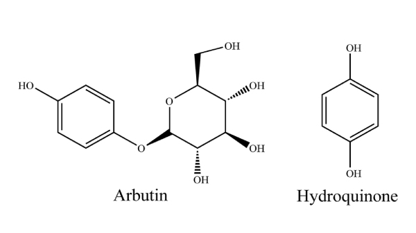 cách kết hợp Arbutin và Niacinamide, Niacinamide kết hợp với Arbutin