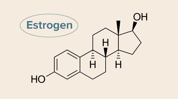 thành phần Estrogen là gì