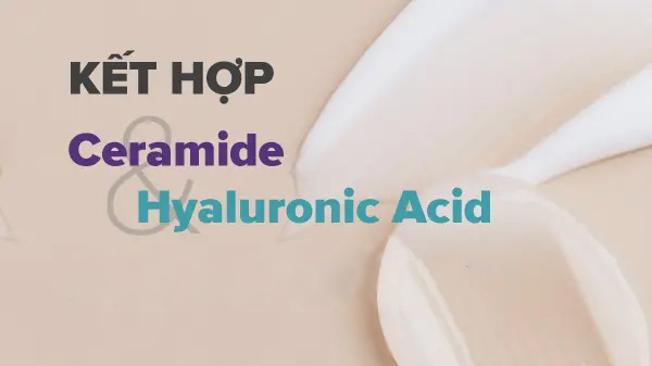 cách kết hợp Ceramide và Hyaluronic Acid, cách kết hợp Hyaluronic Acid và Ceramide