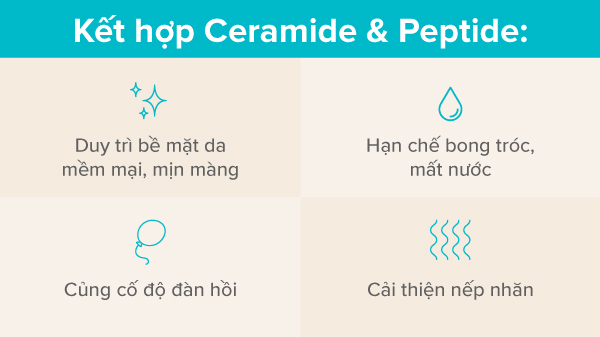 Peptide và Ceramide, Ceramide và Peptide
