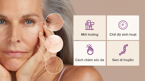 độ tuổi sinh học của da, các yếu tố ảnh hưởng đến độ tuổi của da