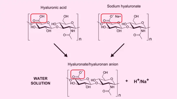 hyaluronic acid là gì, hyaluronic acid trong mỹ phẩm