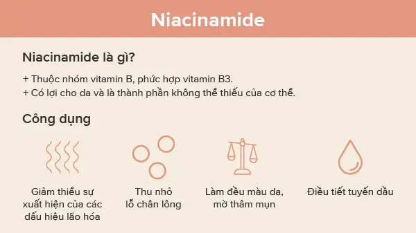 Thông tin về Niacinamide và công dụng của nó