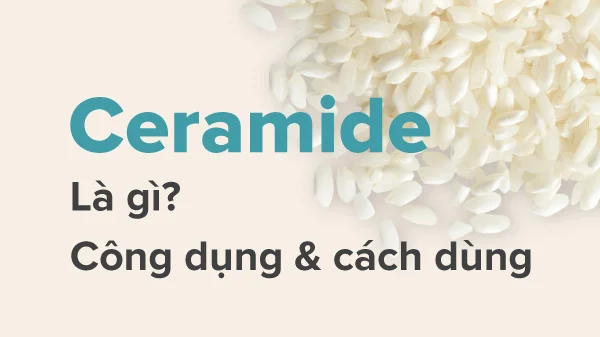 Tác dụng và cách dùng Ceramide chăm sóc da, Ceramide là gì?
