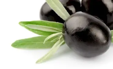 Tinh dầu olive	