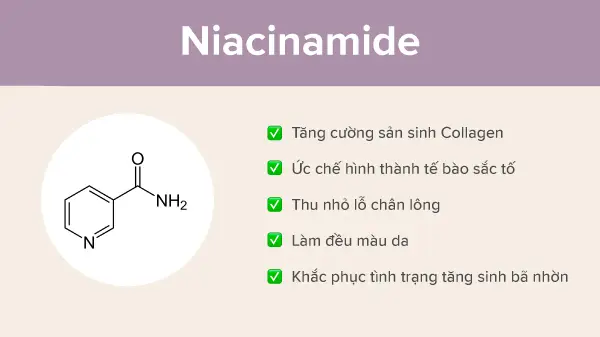Tinh chất dưỡng thể Niacinamide Body, serum dưỡng thể Niacinamide