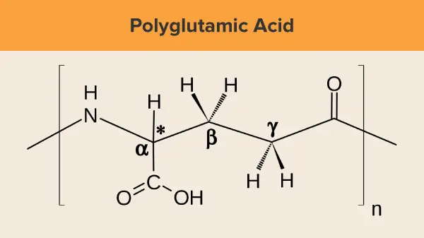 Polyglutamic Acid là gì, cách dùng polyglutamic acid