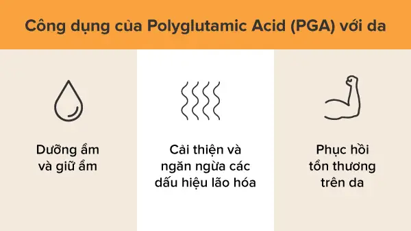 công dụng của polyglutamic acid, cách sử dụng polyglutamic acid
