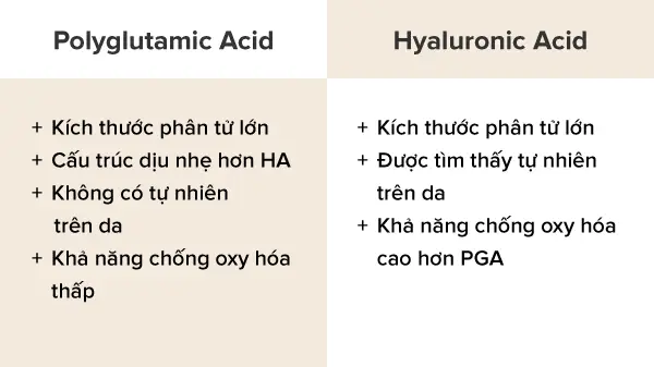polyglutamic acid trong mỹ phẩm