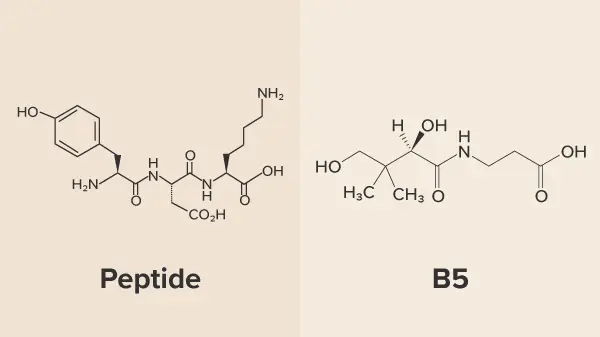Peptide và B5 là bộ đôi chăm sóc da hoàn hảo