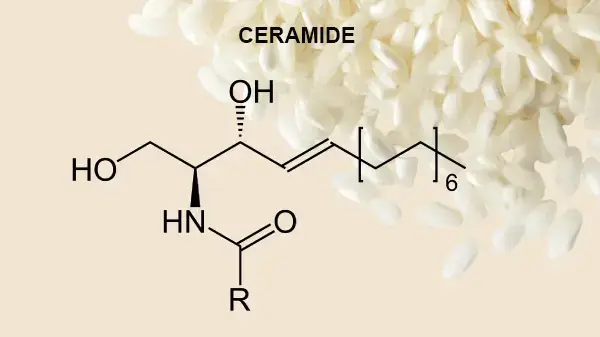 Tìm hiểu thành phần Hyaluronic Acid và Ceramide