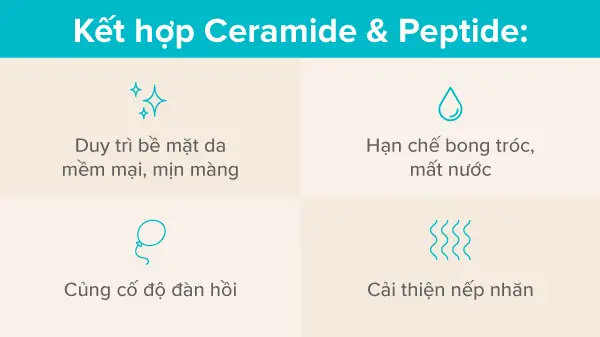 Peptide và Ceramide, Ceramide và Peptide