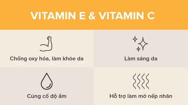 Lợi ích khi kết hợp Vitamin E và Vitamin C, tại sao nên kết hợp vitamin E với vitamin C