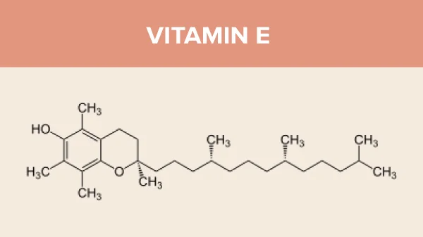 vitamin e với vitamin c, vitamin c và vitamin e