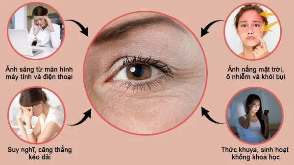 nguyên nhân gây lão hóa da vùng mắt, nguyên nhân gây lão hóa vùng da quanh mắt